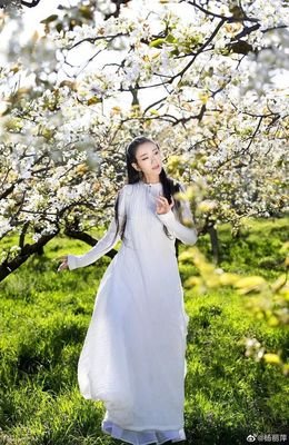62岁杨丽萍被万人骂上热搜：按自己的意愿过一生也有错？