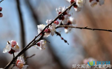 雨霖铃的句子