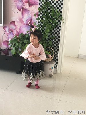 梦里梦着梦中梦经典的句子