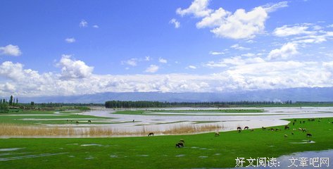 《伊犁河》影评精选
