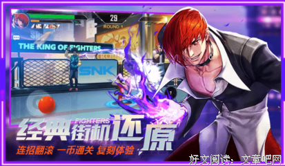 《拳皇命运》观后感摘抄