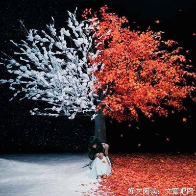《夏目友人帐 五 特别篇：一夜酒杯》影评精选