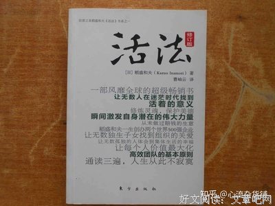 《看诗不分明》读后感摘抄