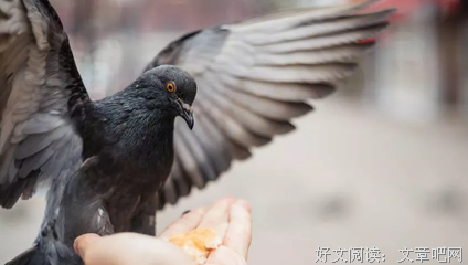 我和为为“没穿内内”就出门了