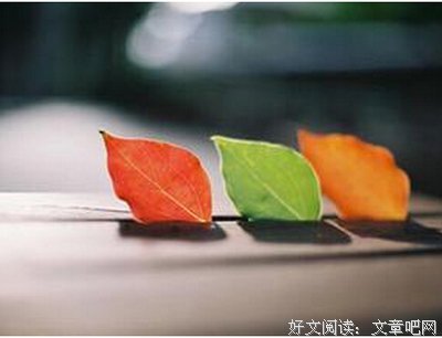 15条关于智者见智的经典语句