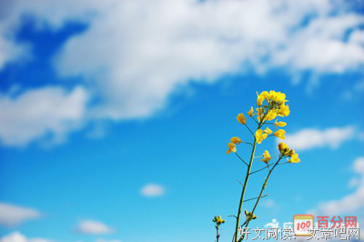 关于一见如故的名言