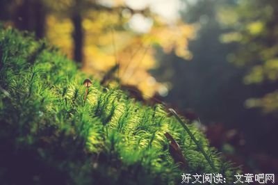 惊为天人的名人名言