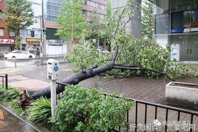 七零八落的句子