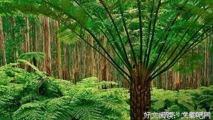 意境经典的句子
