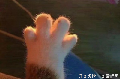 句集句子大全