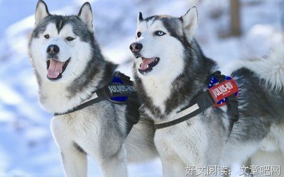 实录：“25岁，我给自己生个小弟弟”