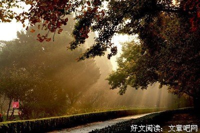 坚强是唯一的选择