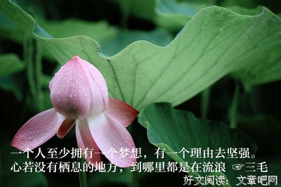 喜爱的名言