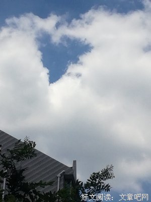 白云苍狗读后感精选