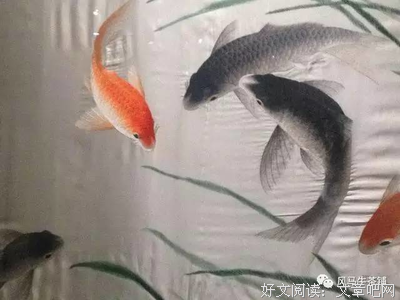 关于十全十美的语句