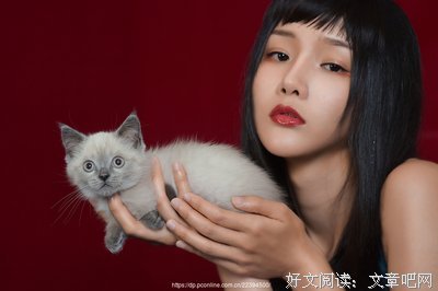 冷若冰霜的句子