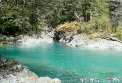 伍优美的句子