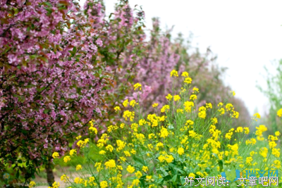 梦那把会花开句子大全