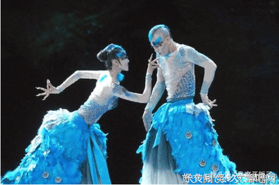 不能拿杨丽萍来说事儿