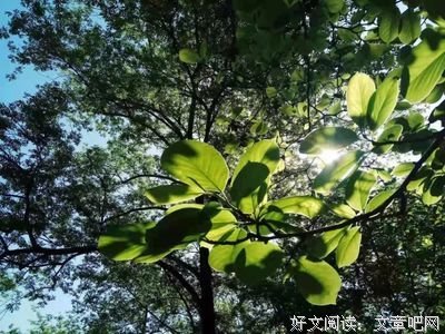 爸爸，你为什么趴在妈妈身上？