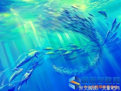 小说好词好句