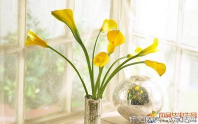 关于感悟•哲去第• 文个比的妈的句子