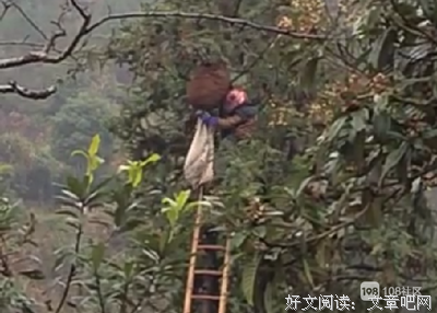 《九里达》的影评大全