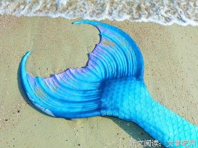 焦虑的时候，到菜市场去
