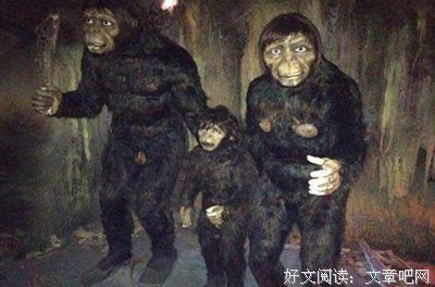 《最长一枪》观后感100字
