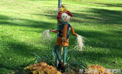《法律稻草人》读后感锦集