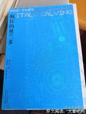 《疯狂奥兰多》读后感摘抄