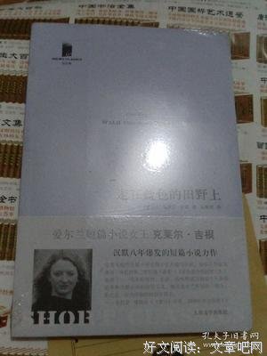 走在蓝色的田野上读后感100字