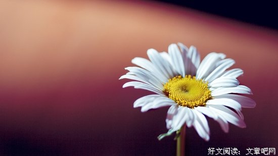 5个迹象提醒你该改变生活了