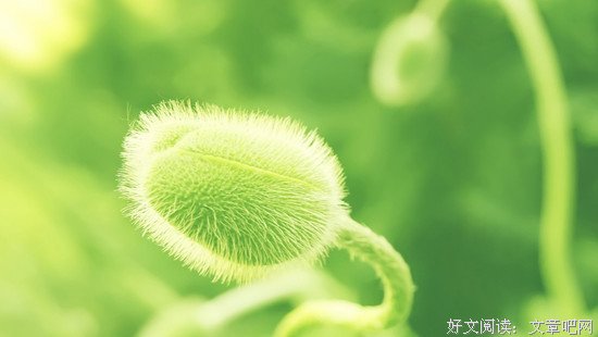 微信潜规则：你发的朋友圈，别人根本看不到 