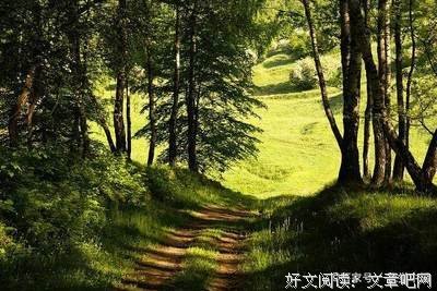 描写蛮不讲理的经典句子