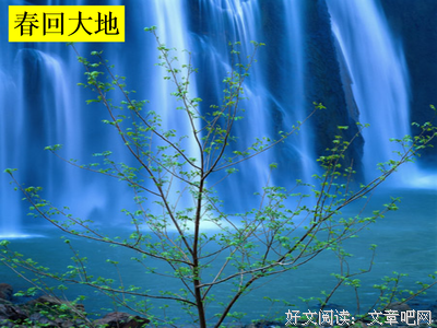 草长莺飞的句子