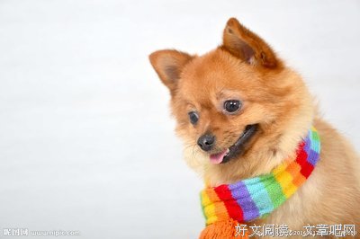 狐朋狗友的句子