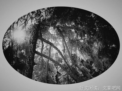 韶华如梦名句欣赏