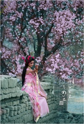 云想衣裳花想容的句子