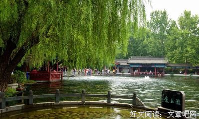 关于随摘的句子