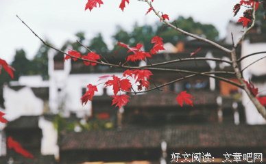 关于枯萎的句子