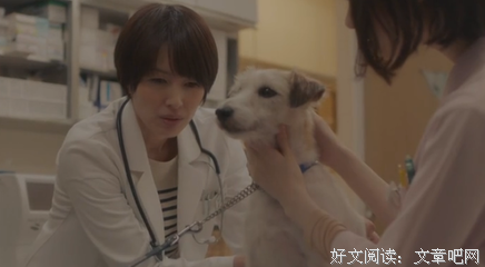 《毛毯猫》经典影评有感