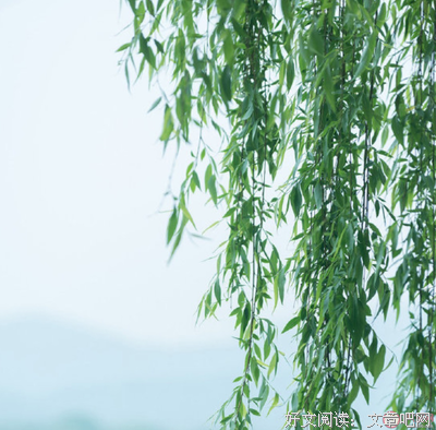 《夏风‘微凉》的句子