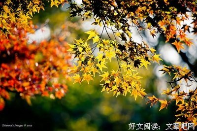 流年名句欣赏