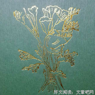 《夏日走过山间》读后感锦集