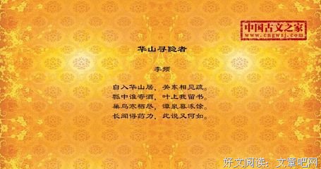 隐者读后感1000字