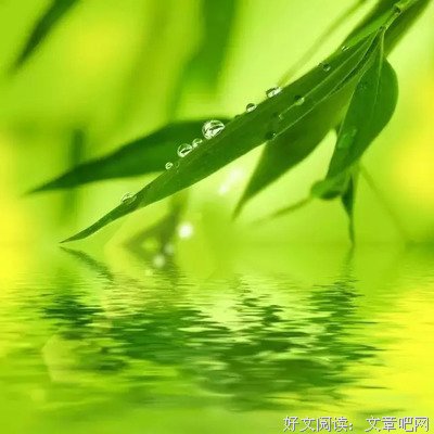 关于自寻烦恼的唯美语录