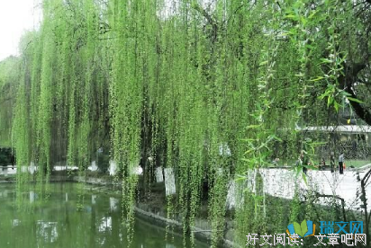 有关1239812125的句子