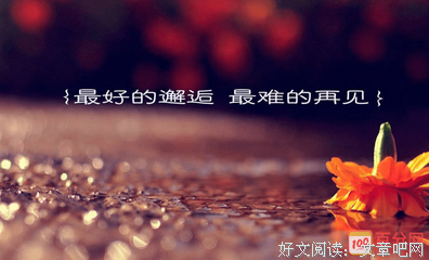 追的句子