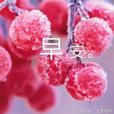 关于恋的优美句子